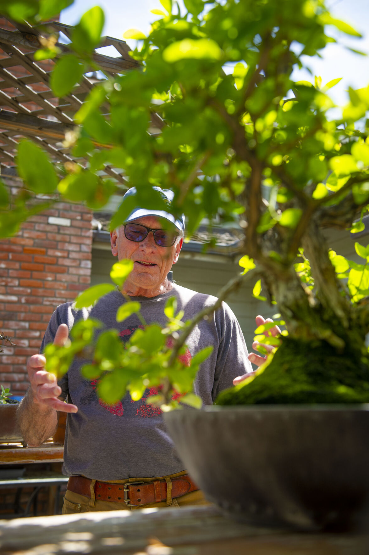 Pat Spencer's Bonsai Garden